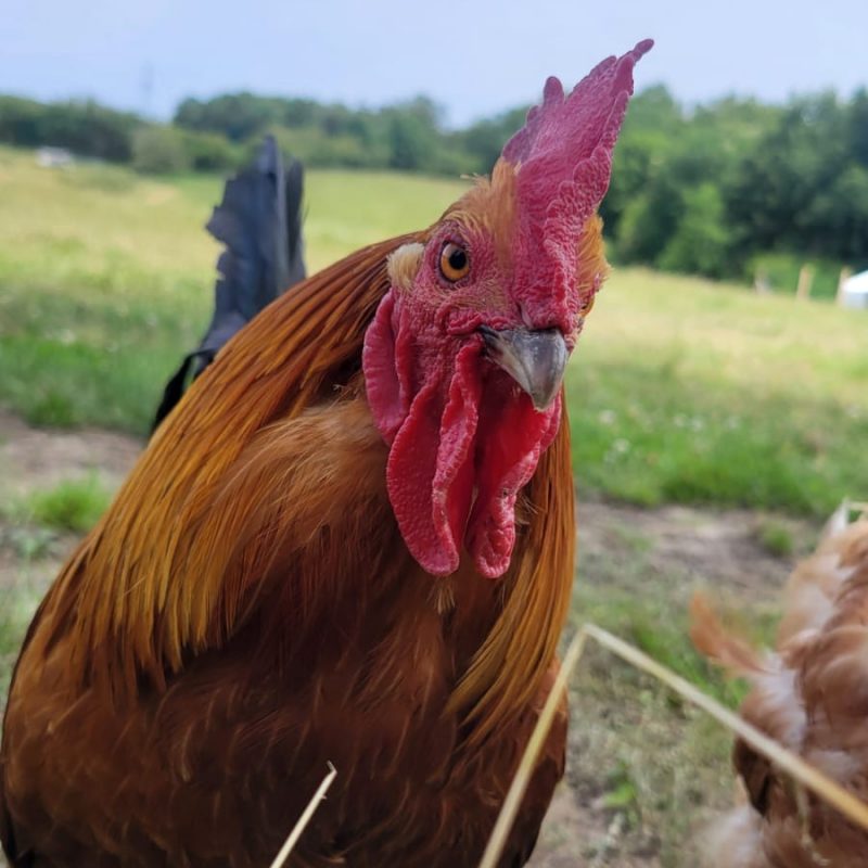 8cc014b8-d9fb-461d-a954-701887f83ba9