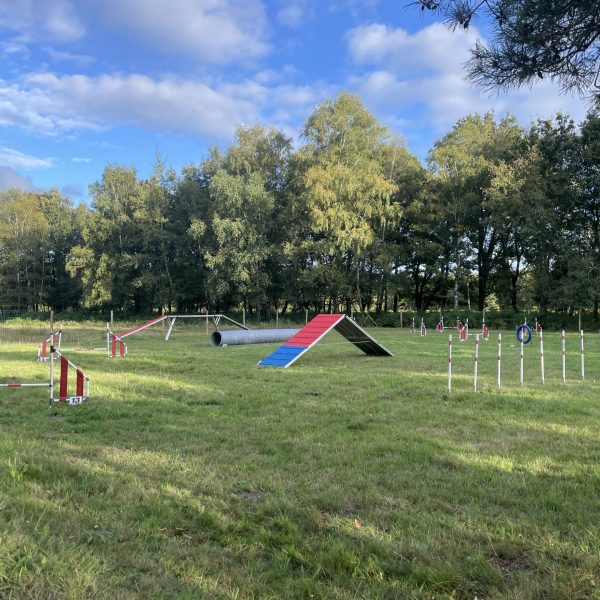 agility vénérand