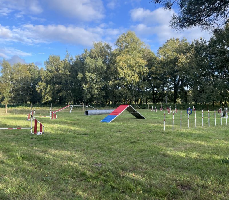 agility vénérand