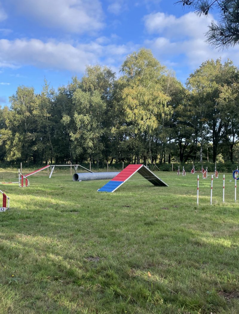 agility vénérand